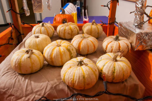 pumpkins-178